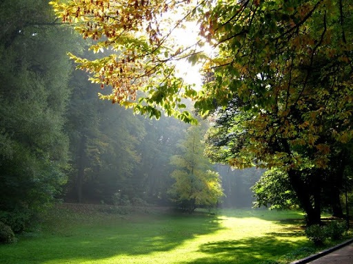 Stryi Park