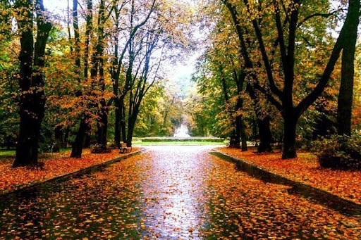 Стрийський парк